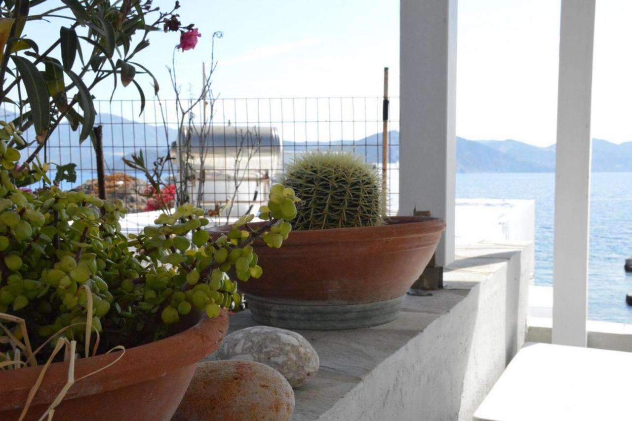 Vila Thalassophile Eco House Plaka  Exteriér fotografie
